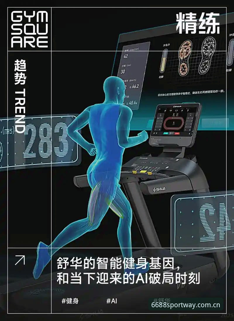 体育专业体育实用指南：从数据洞察到平台升级的必备知识