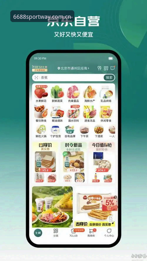 6688体育平台官网地址全面解析：新手如何快速找到并下载正版APP